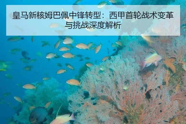 huang-ma-xin-he-mu-ba-pei-zhong-feng-zhuan-xing-xi-jia-shou-lun-zhan-shu-bian-ge-yu-tiao-zhan-shen-du-jie-xi-3-611.jpg