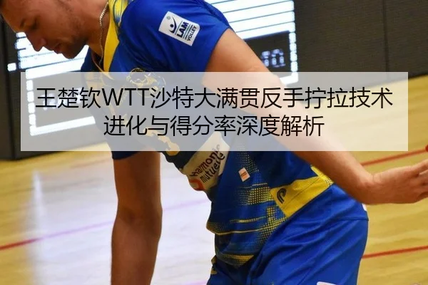 wang-chu-qin-sha-te-da-man-guan-fan-shou-ning-la-ji-shu-jin-hua-yu-de-fen-lv-shen-du-jie-xi-2-371.jpg