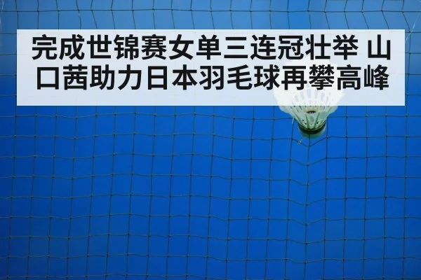 badminton training court